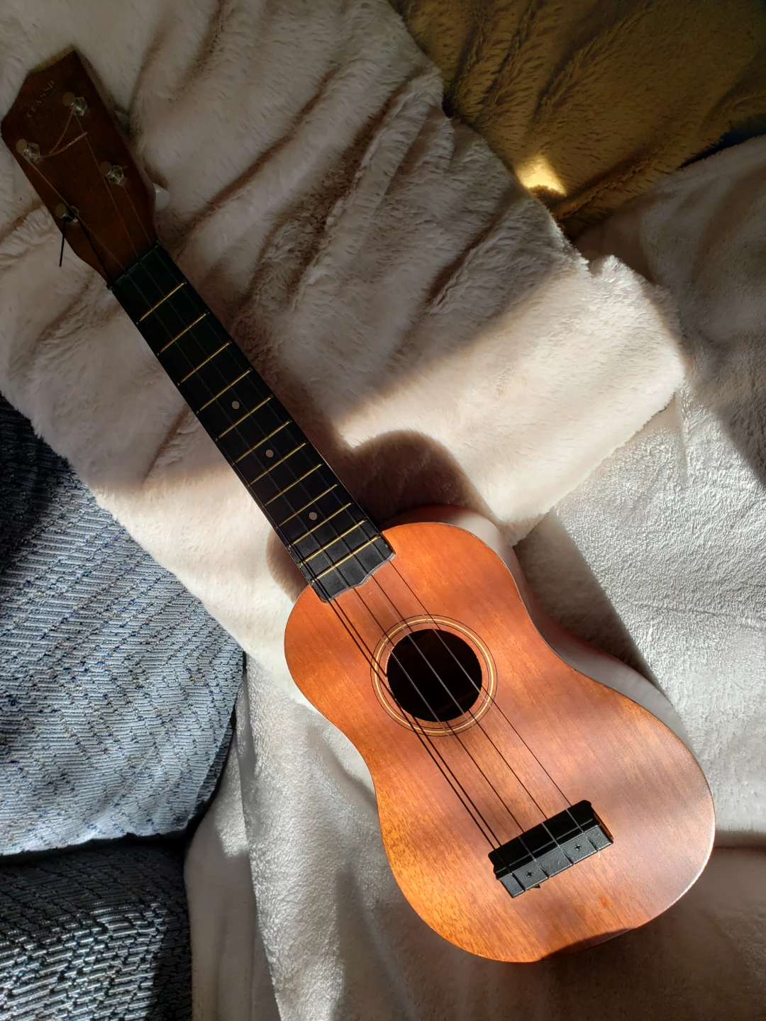 The Classic Ukulele with Case