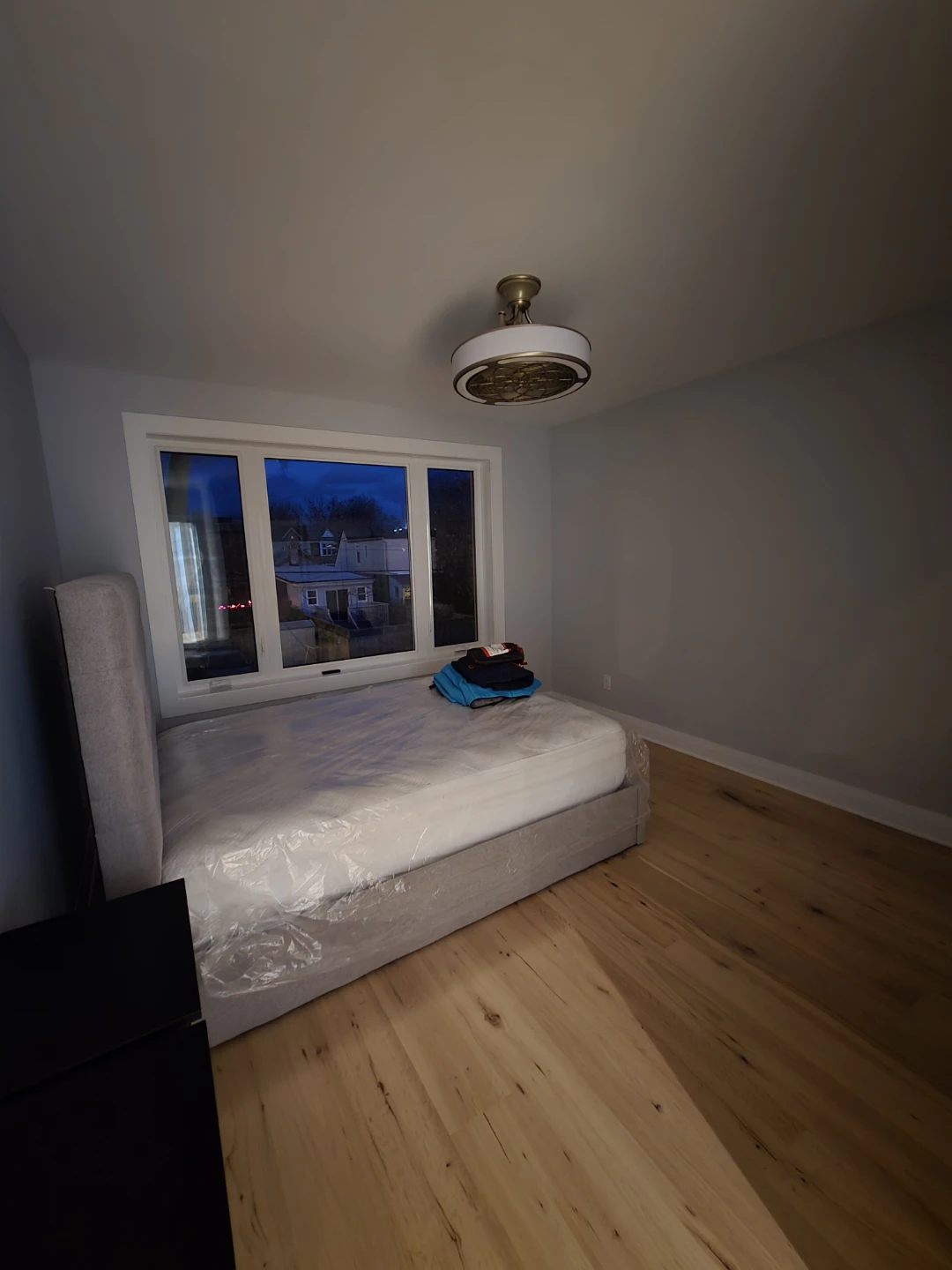 Ceiling Fan with Light Fixture