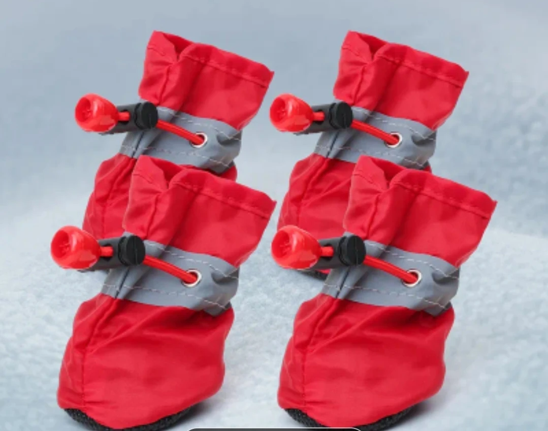 Set of 4 Pet Boots - Size M