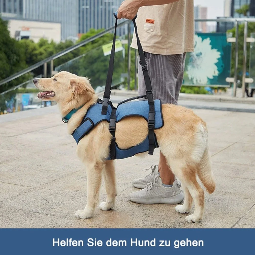 COODEO Mobility Aid Dog Harness - Breathable Rehabilitation .... - photo 5