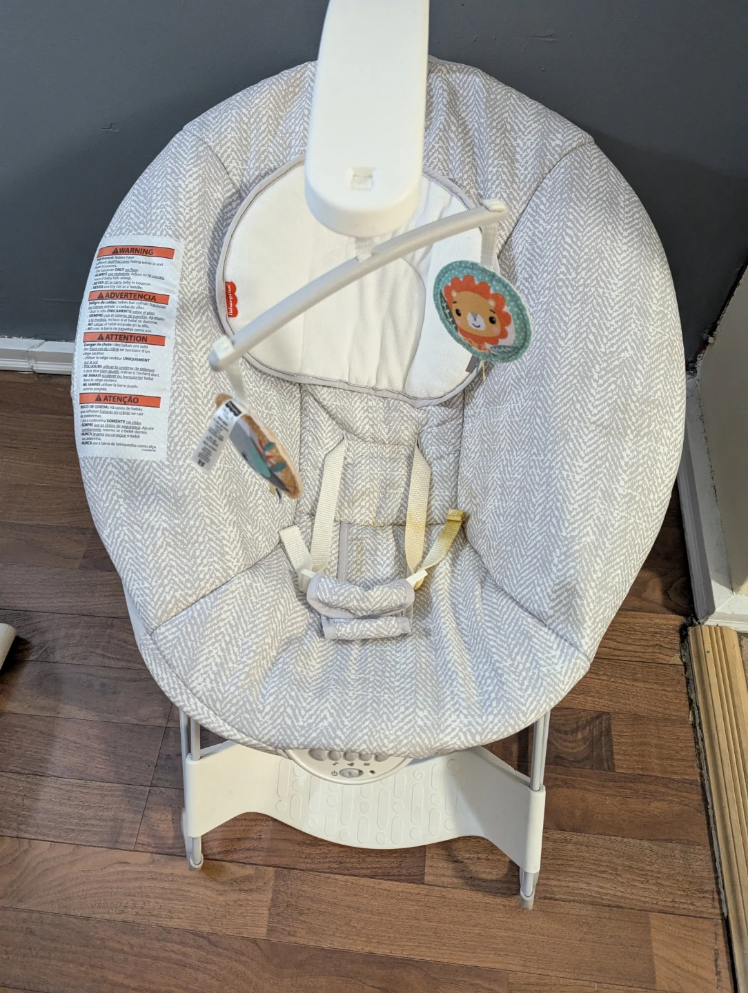Fisher-Price Baby Bouncer Seat - photo 2