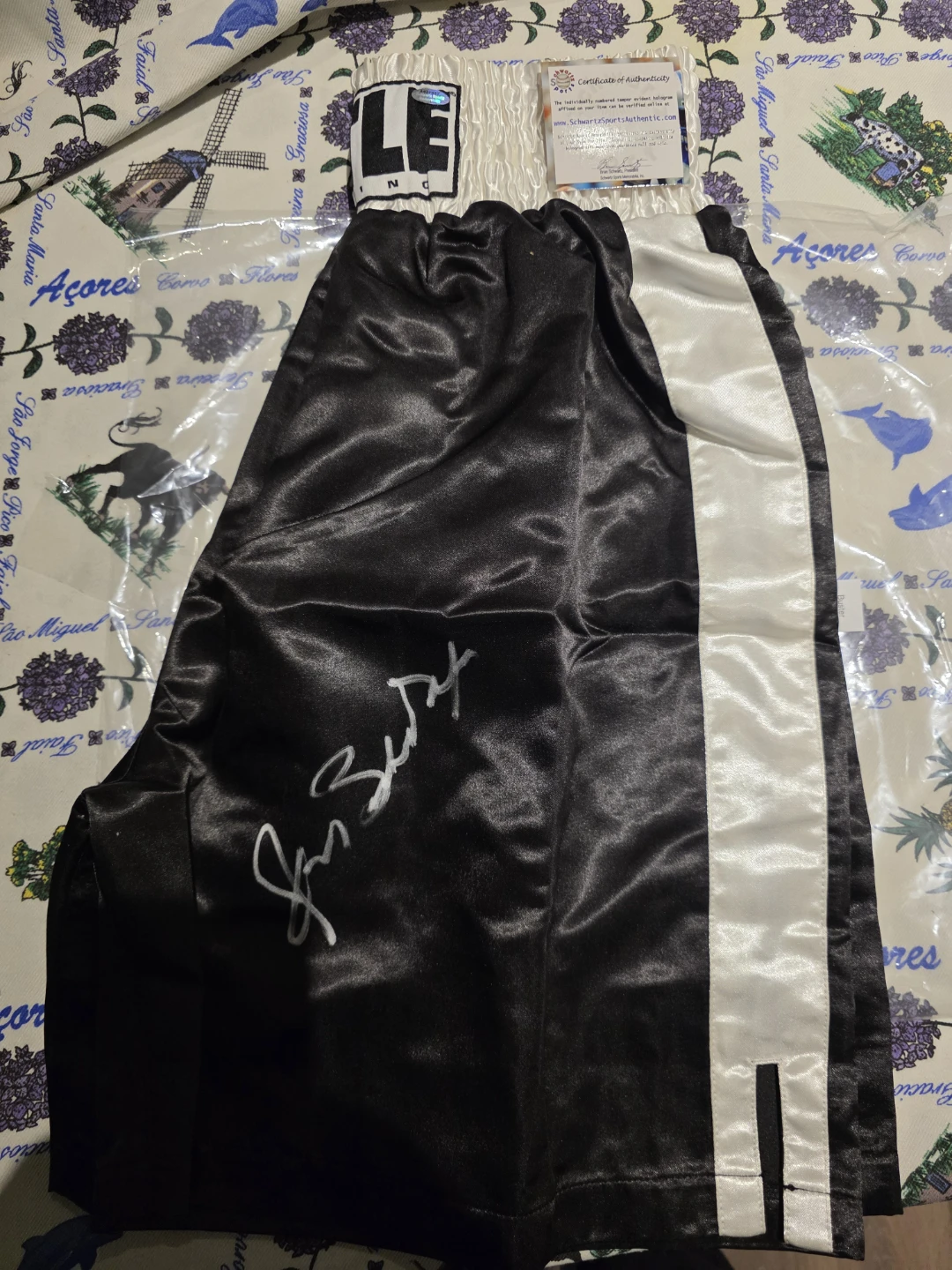 TITLE Boxing Signed Boxing Shorts