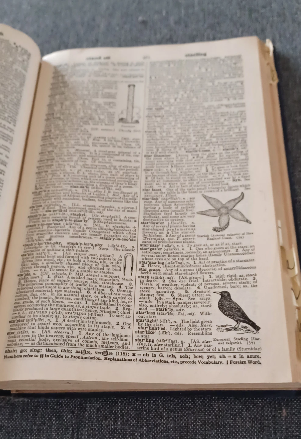 Webster's Collegiate Dictionary Fifth Edition - photo 3