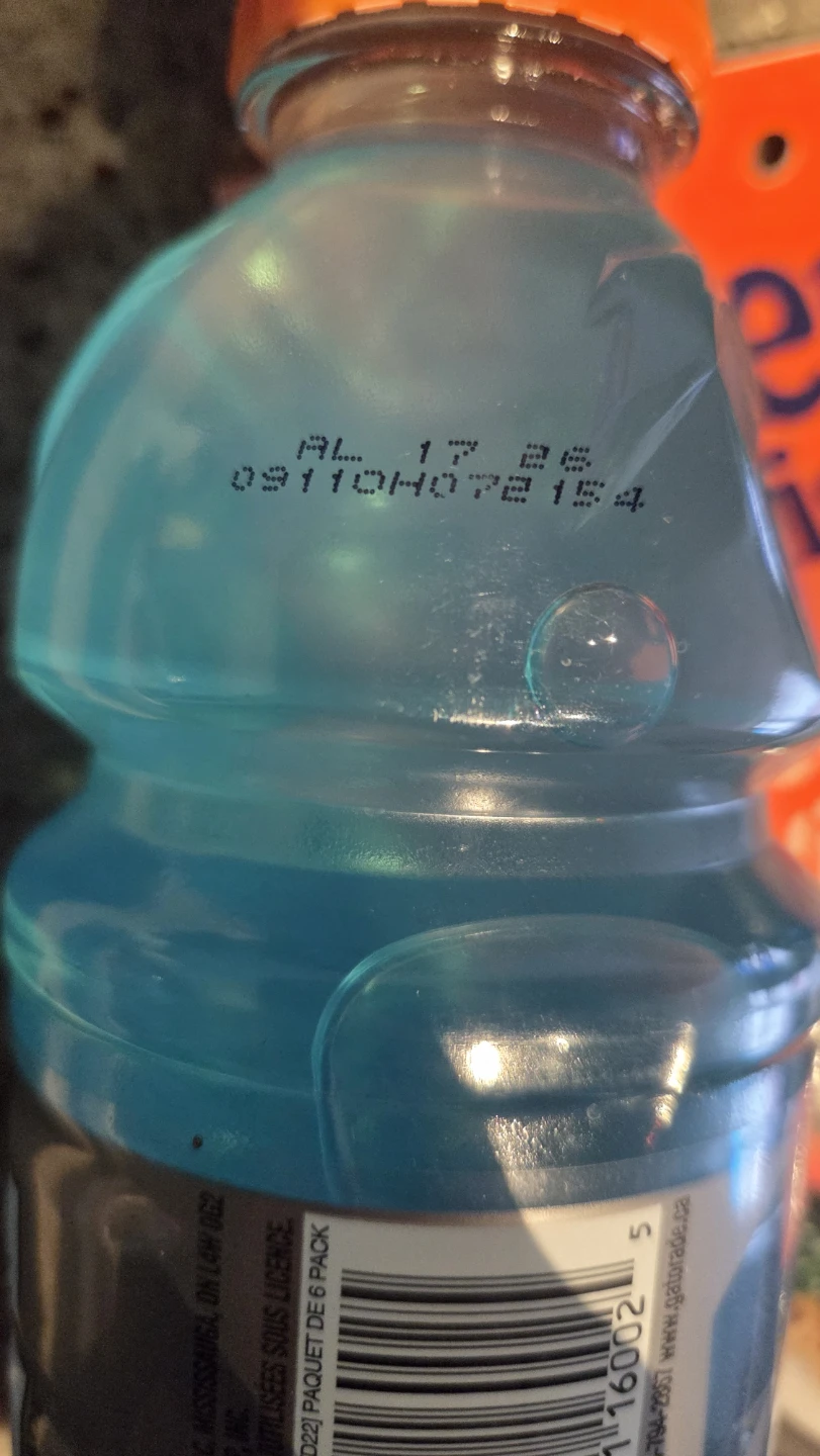Gatorade and Rice - photo 3