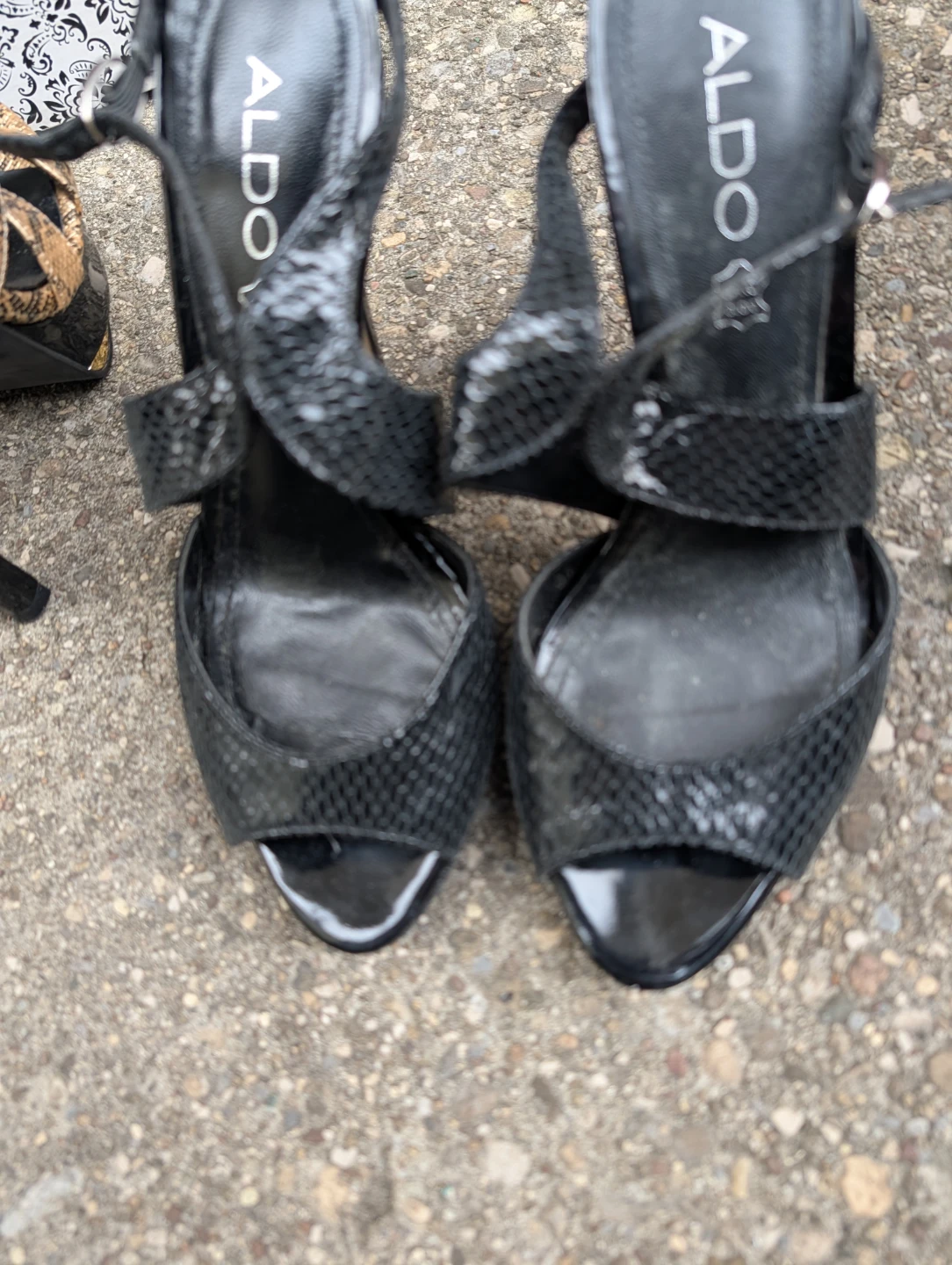 ALDO Black Snake Print Heels - photo 2