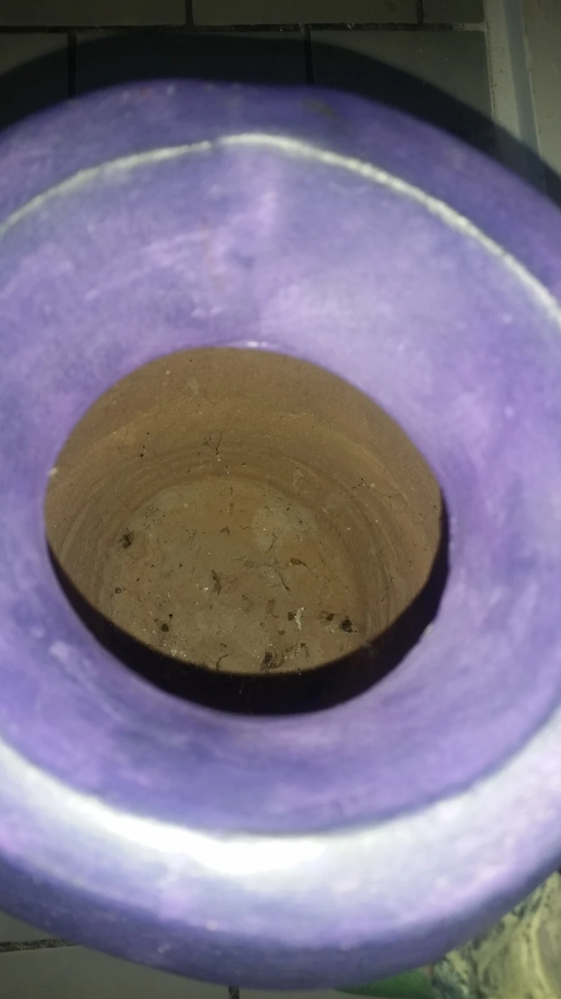 Large Purple Vase with Iguana Accent - photo 4