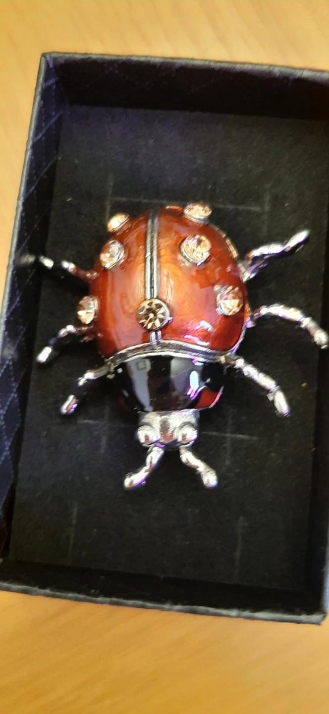 Ladybug Brooch with Rhinestones - photo 2
