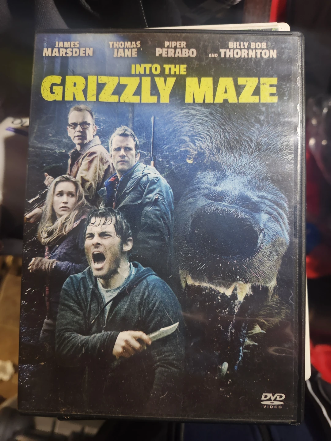 Into the Grizzly Maze DVD