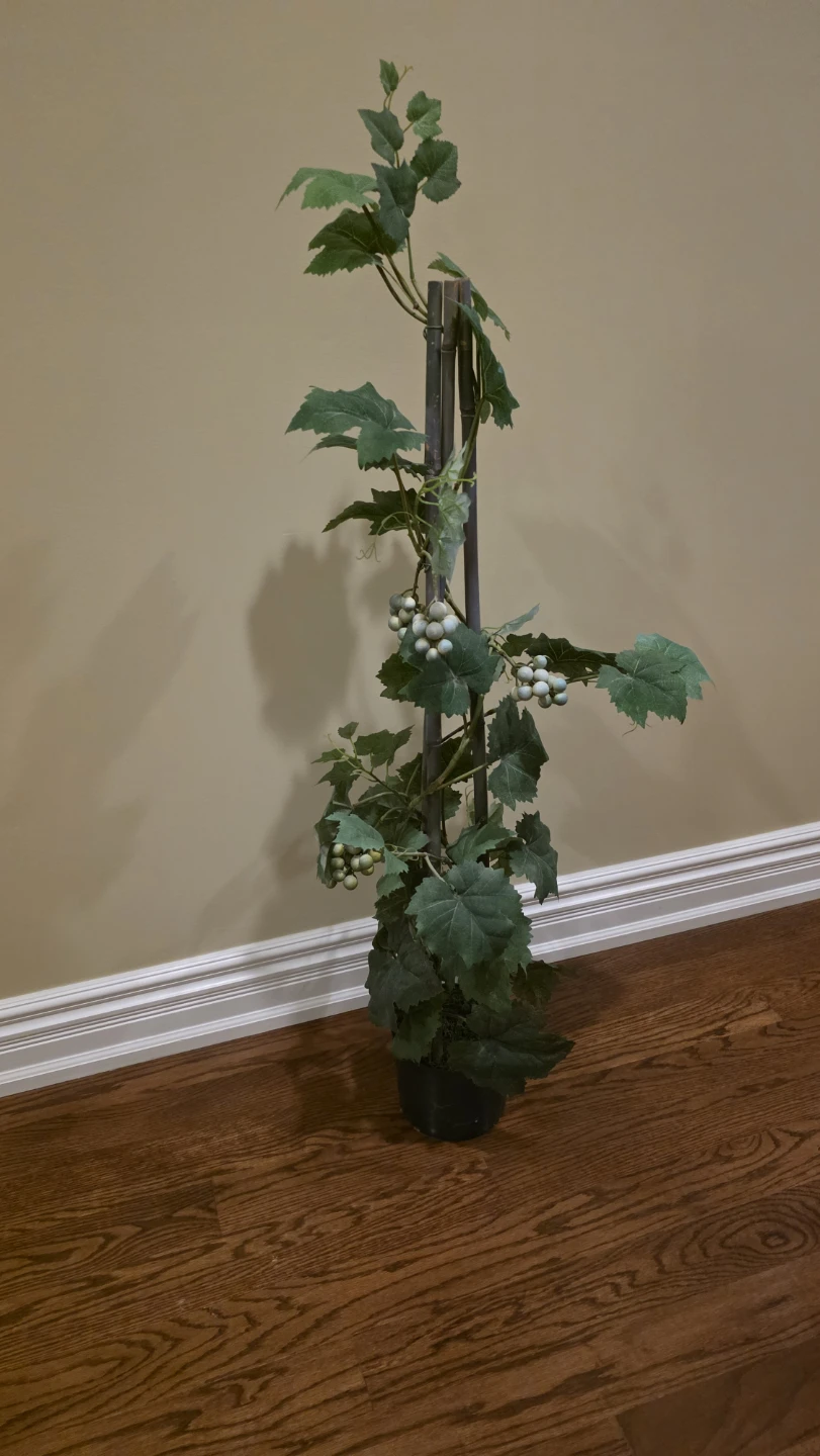 Artificial Grapevine Plant
