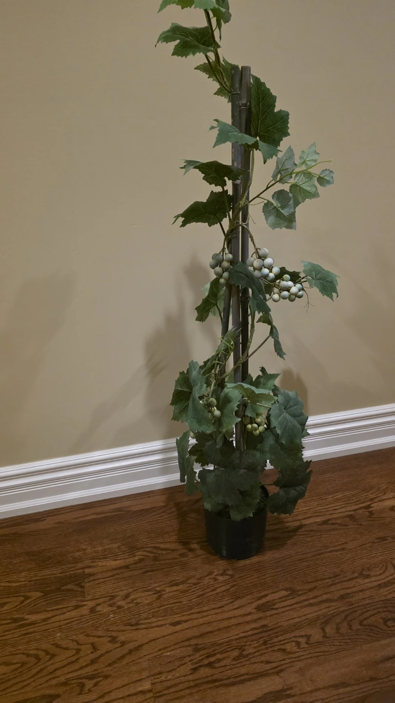 Artificial Grapevine Plant - photo 5