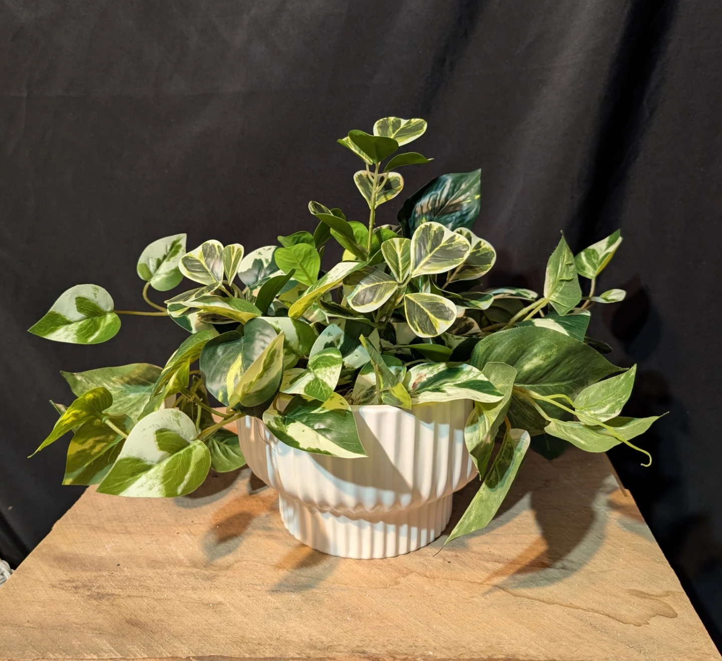 Artificial house plant