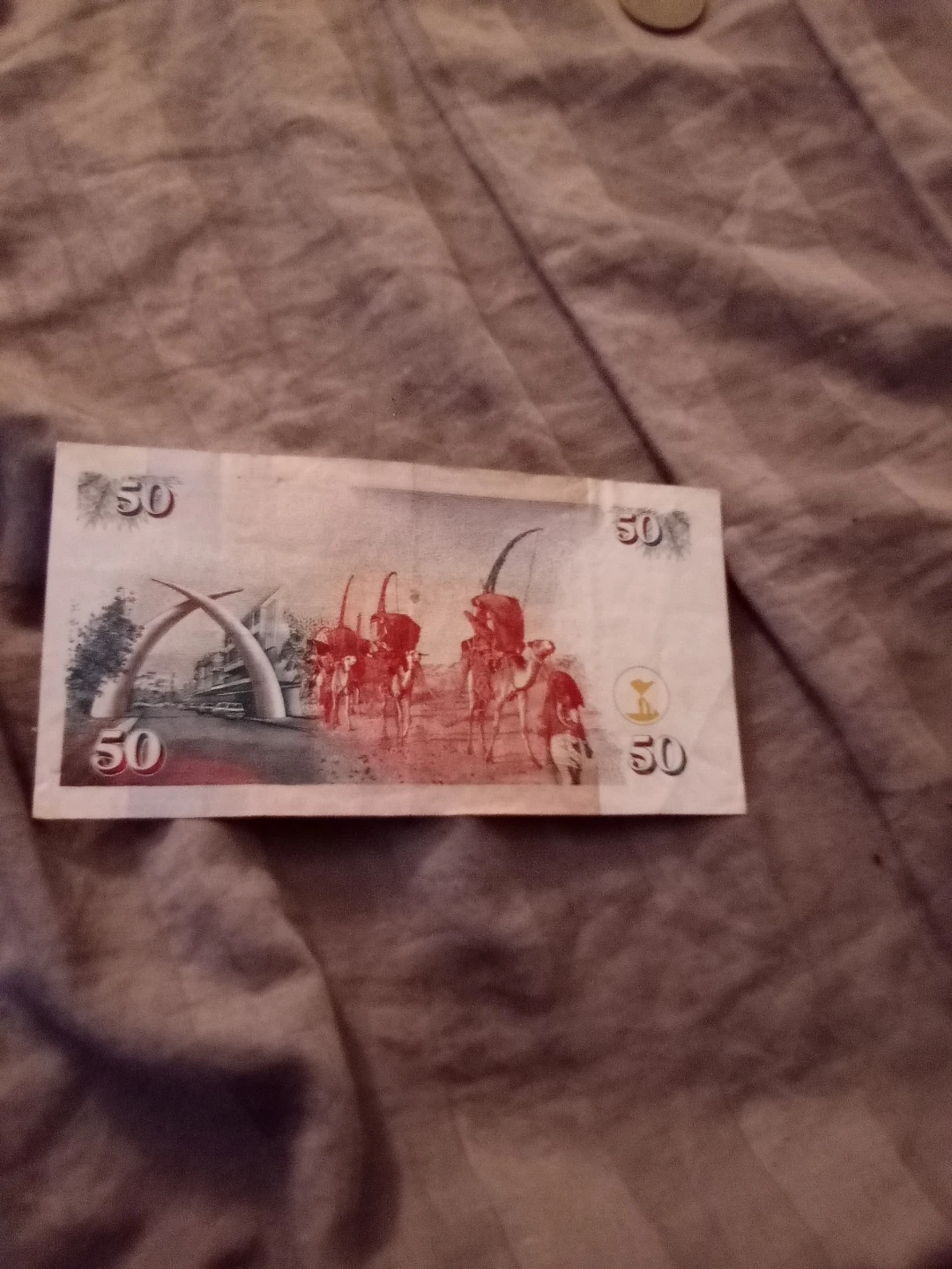 Kenya 50 Shillings Banknote - photo 3