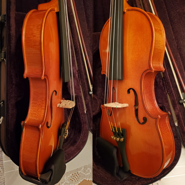 ✴️Upgrade 4/4 StentorViolin D'Addario AscenteStrings+Accessories - photo 3