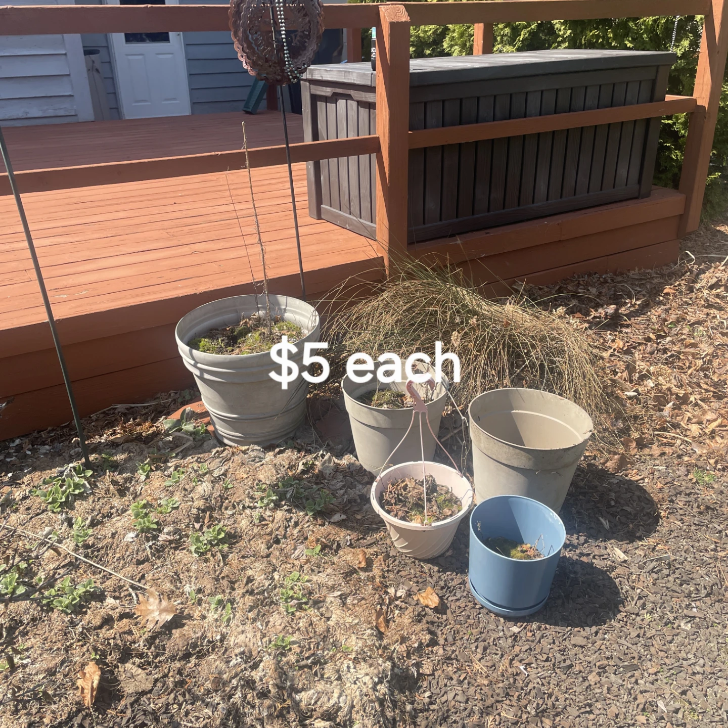 Assorted Plant Pots