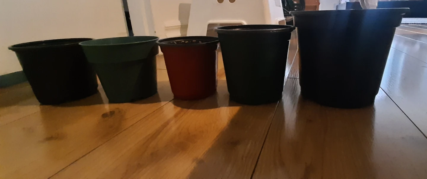 Pots for plants