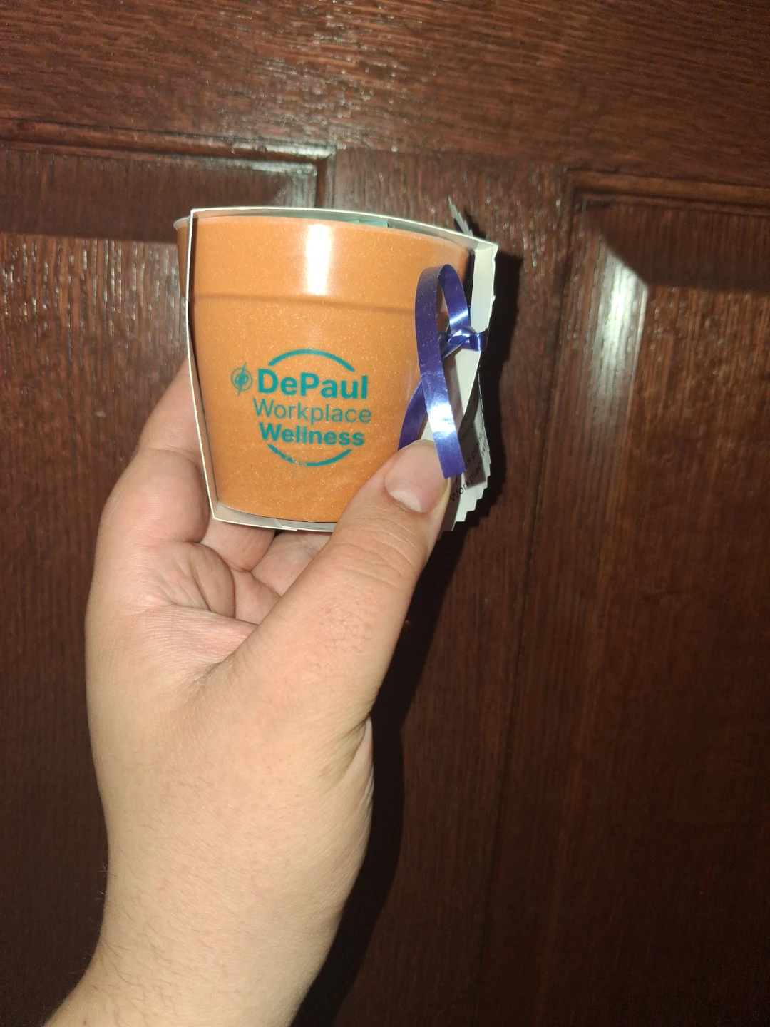 DePaul Workplace Wellness Small Plant Pot