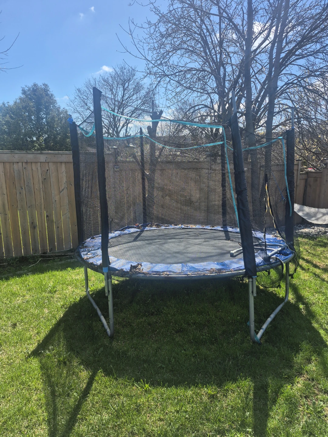 Trampoline with Safety Net 8inches - photo 4