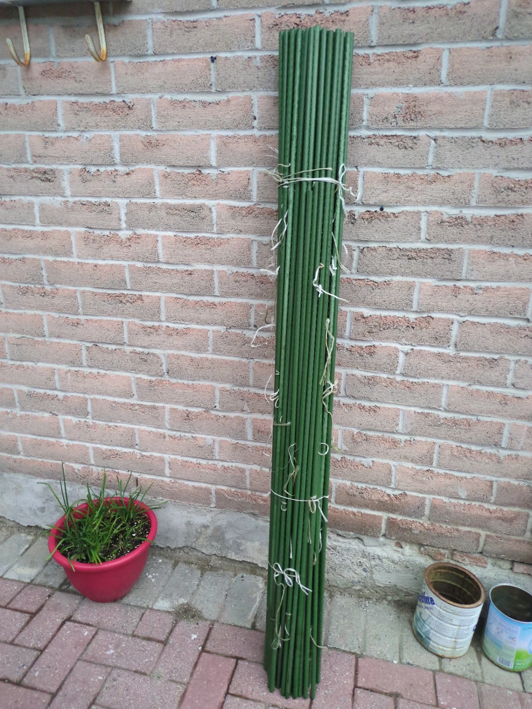 Green Garden Stake
