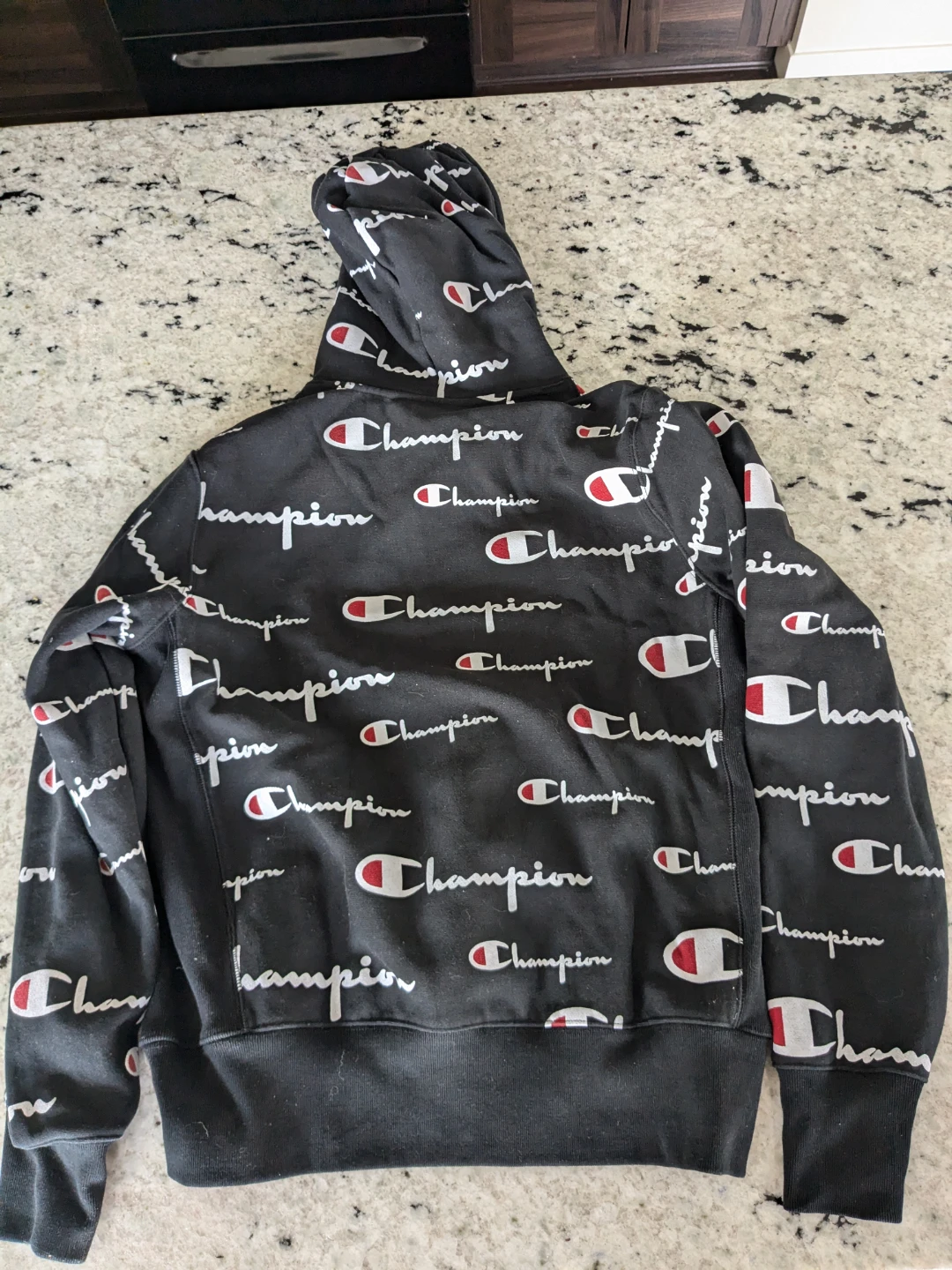 Women's Champion Hoodie - photo 3