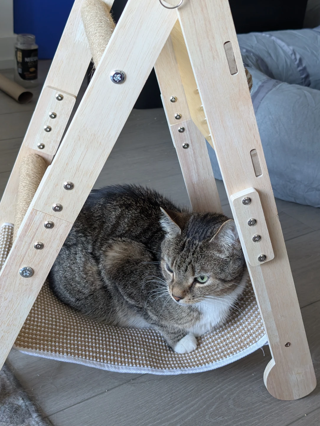 Wooden Cat Tree with Scratching Post