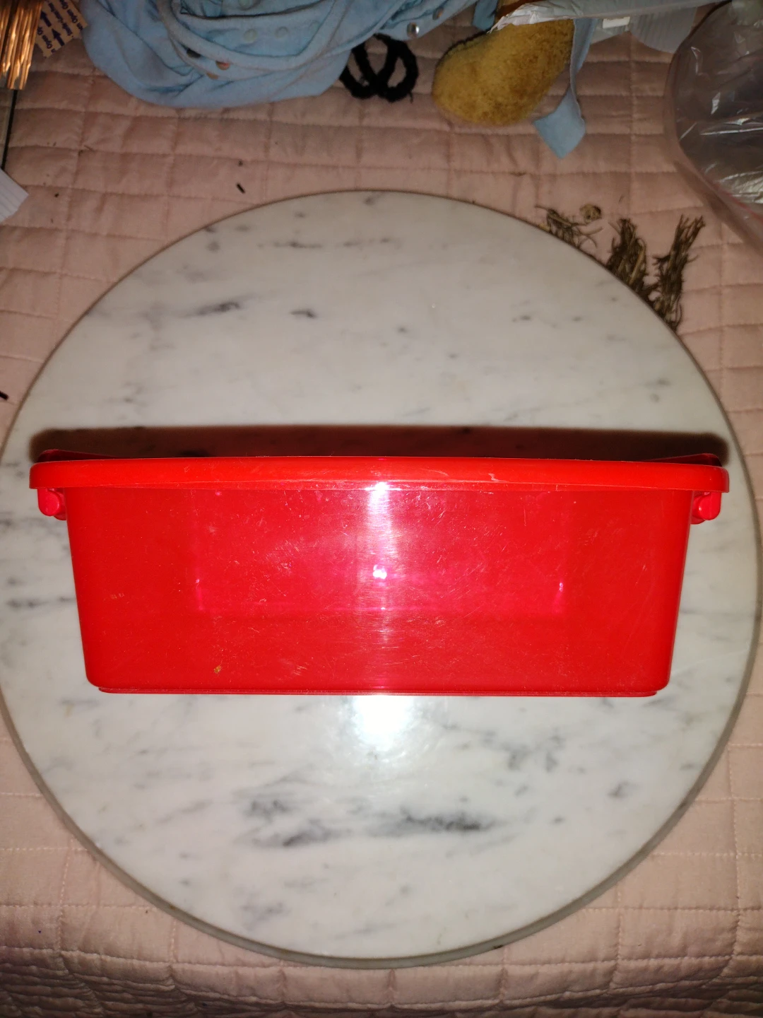 Red Plastic Food Storage Container with Lid 1.6 Qt