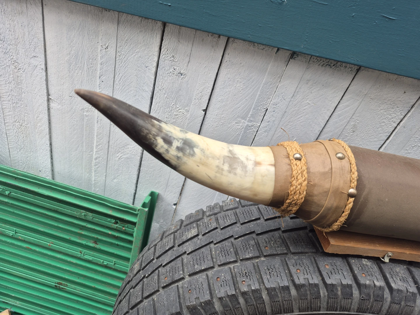 Decorative Bull Horn Mount - photo 3