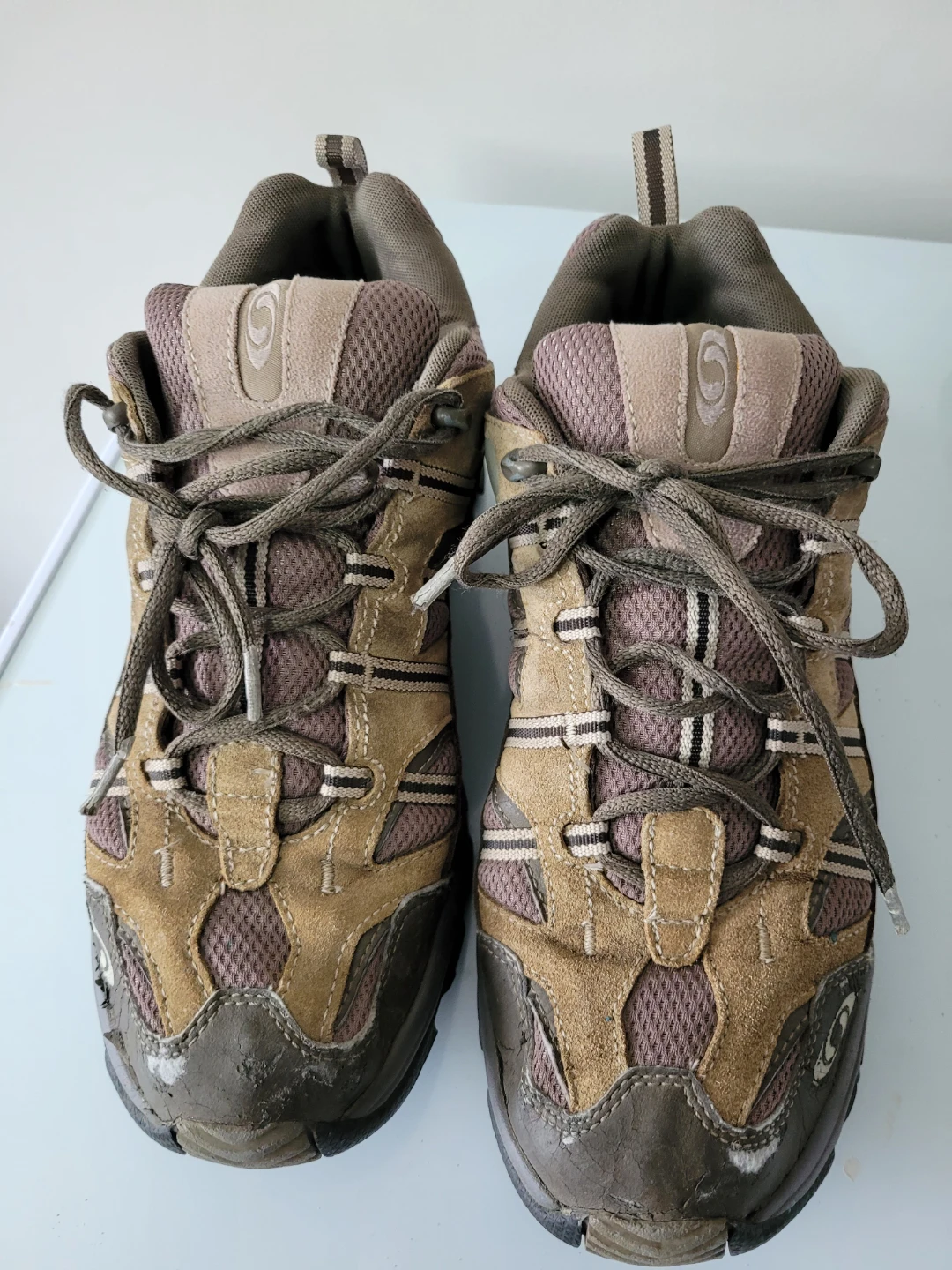 Salomon men's Hiking Shoes