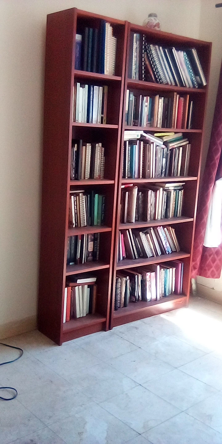Two separate bookshelves