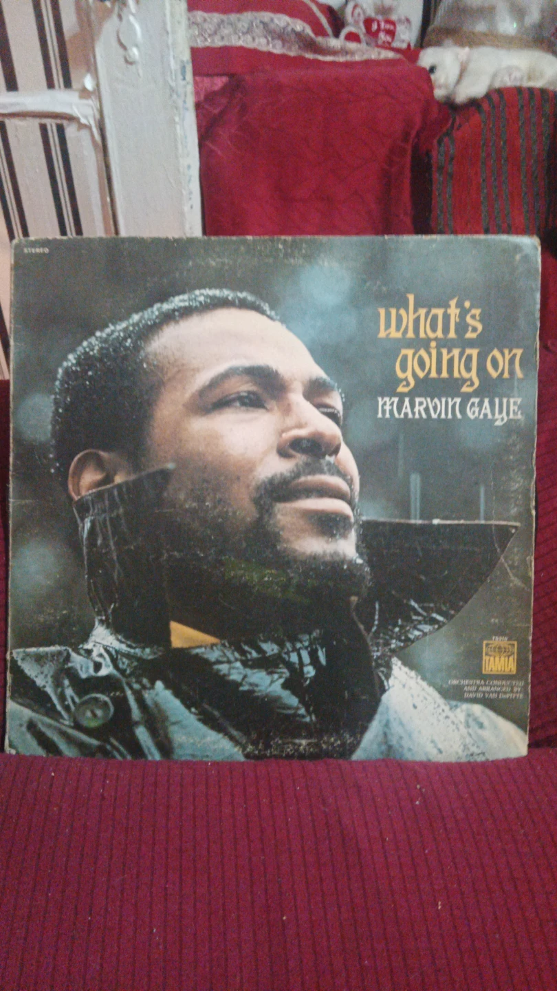 Records Lps