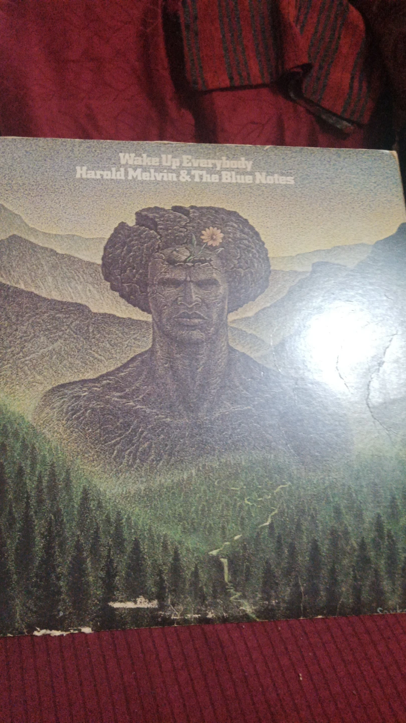 Records Lps - photo 2