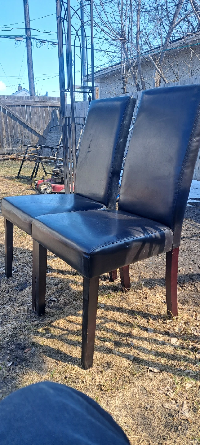 Set of 2 Black Dining Chairs