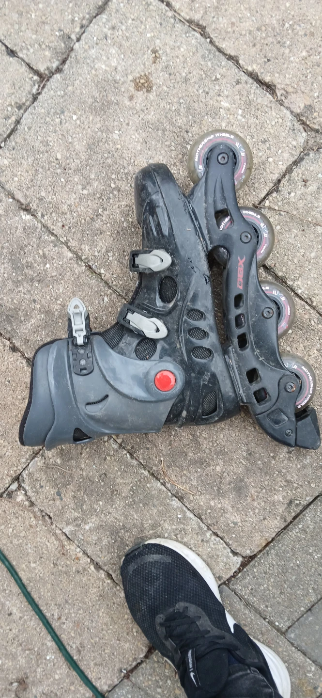 DBX Inline Skates