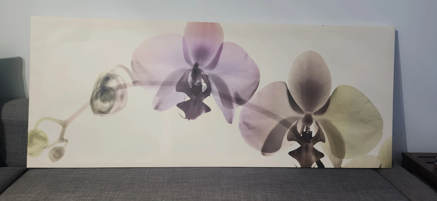 IKEA TAVLEWALL Orchid Wall Art