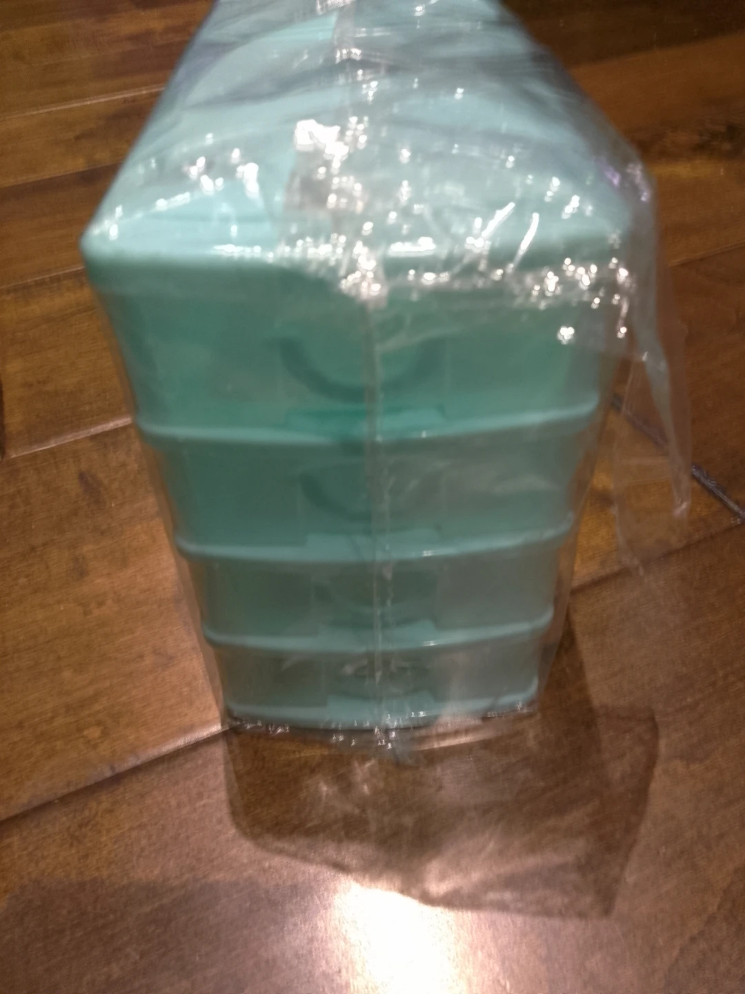 Set of 2 Teal Plastic Drawer Organizers