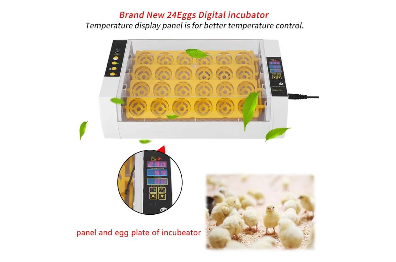 24 Egg Digital Incubator with Temperature Display - photo 4