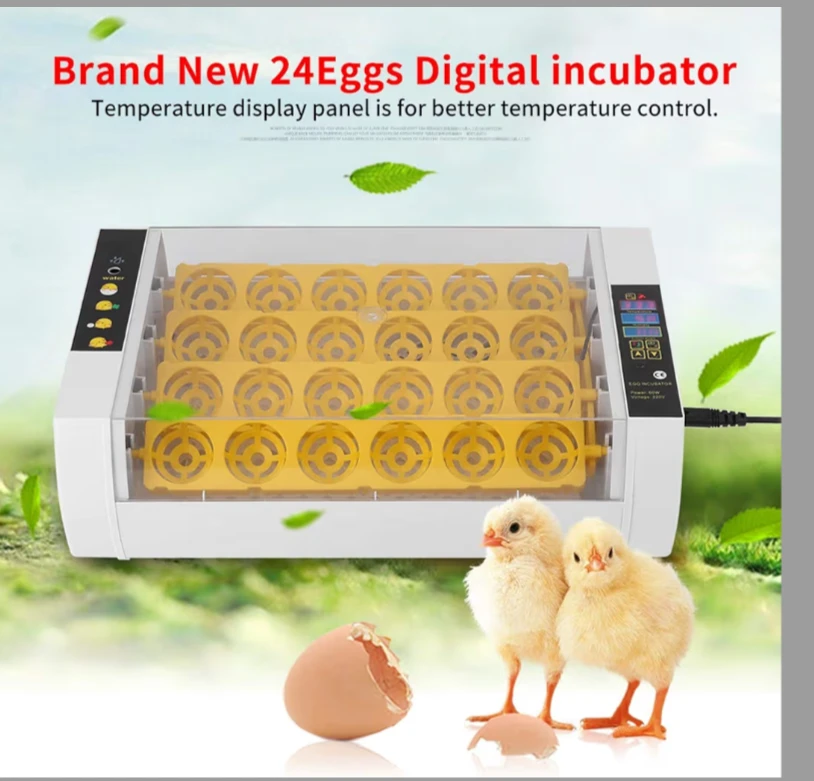 24 Egg Digital Incubator with Temperature Display - photo 5