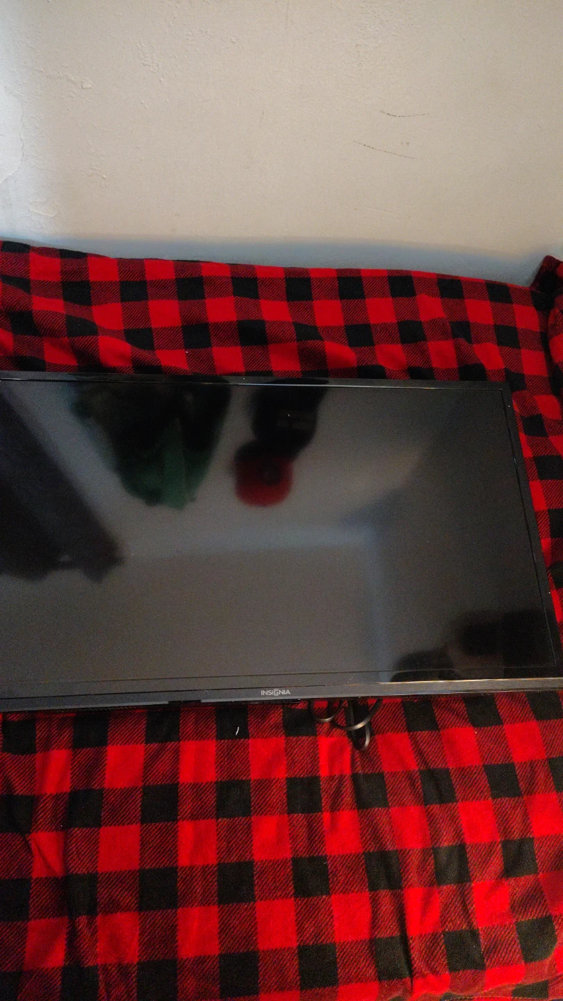 Insignia Flat Screen TV