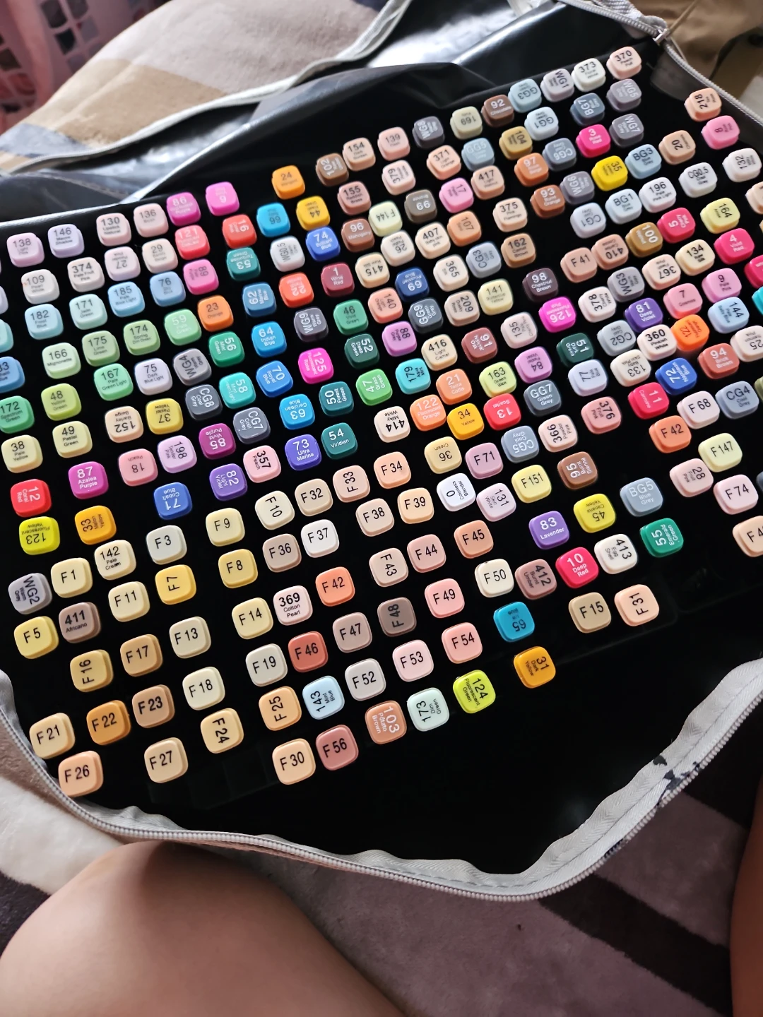 🎨 Large Alcohol Marker Set + Carry Case