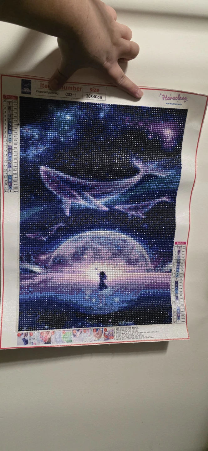 Finished Diamond Painting