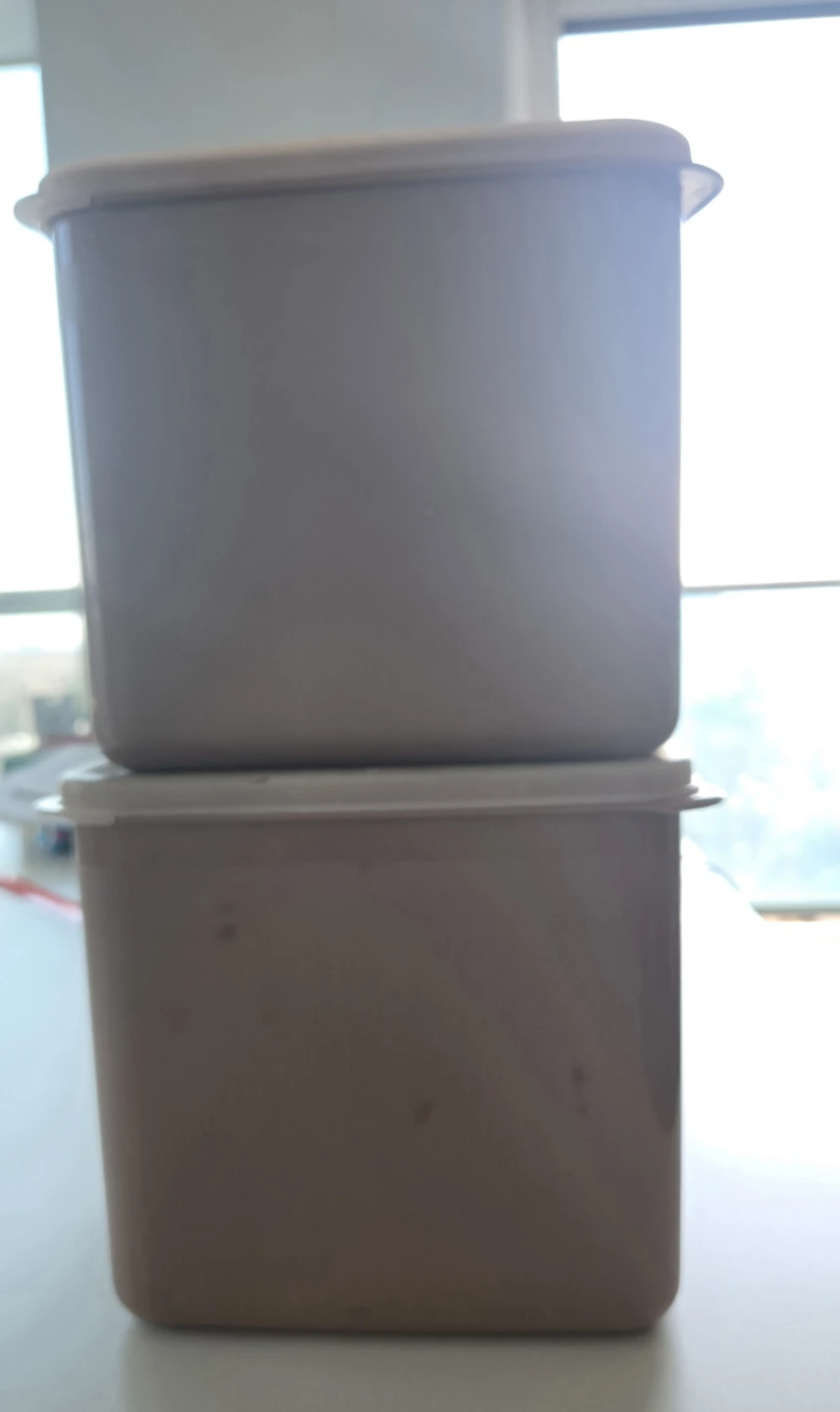 2pic Storage Container Set 6L - photo 2