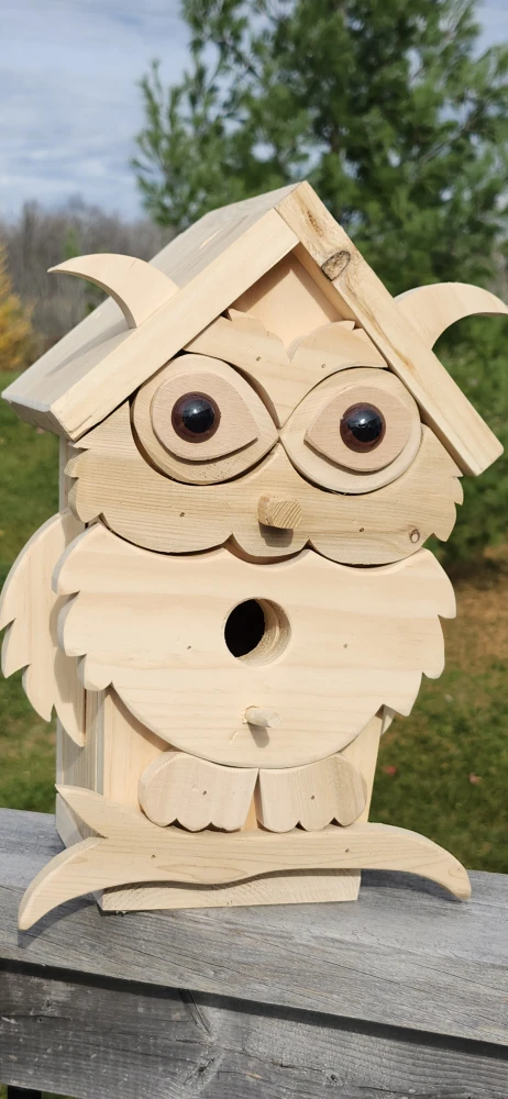 Handmade Wooden Owl Birdhouse