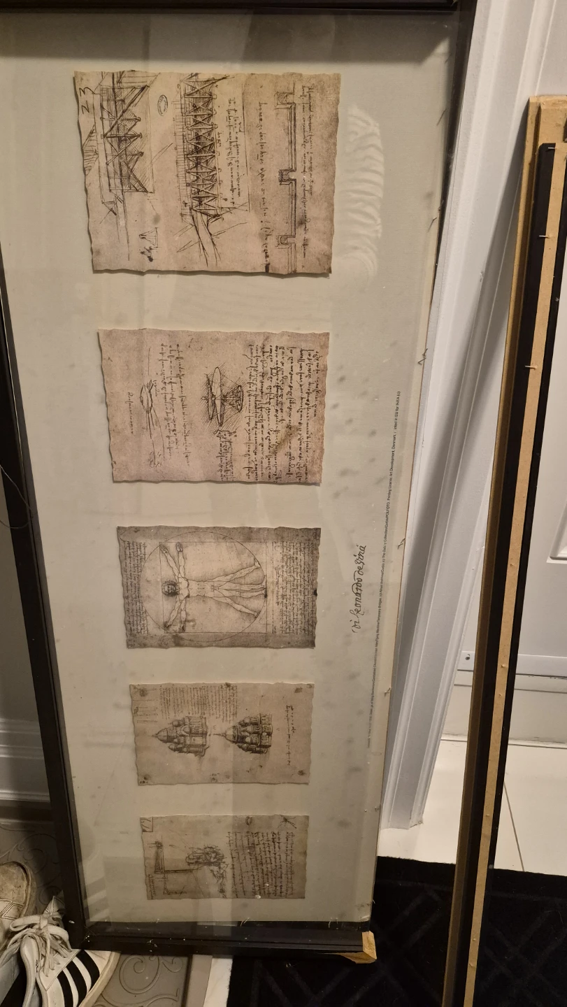 Framed Leonardo da Vinci Sketches