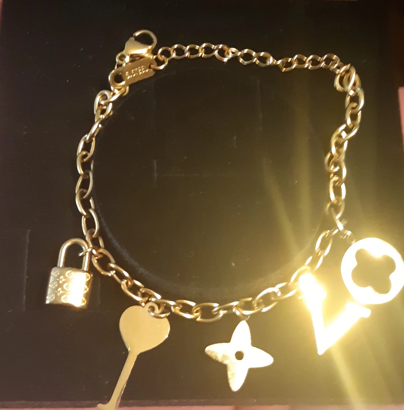 Stainless Steel Bracelet - photo 2