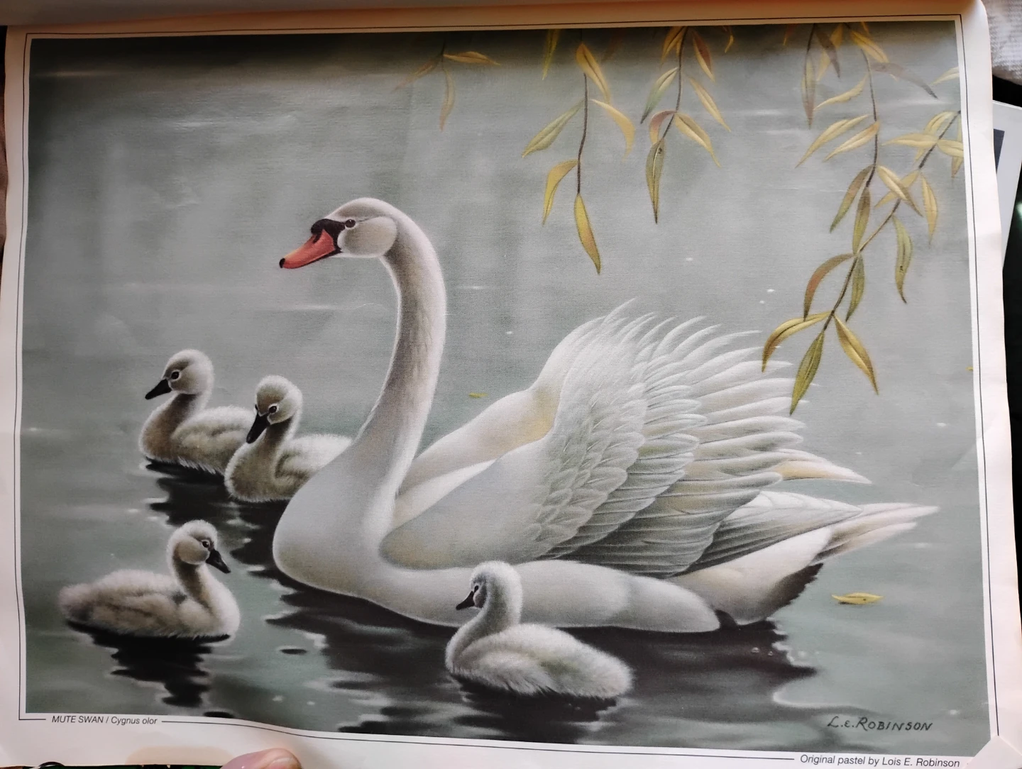 Collection of Lois E. Robinson Art Prints - photo 4