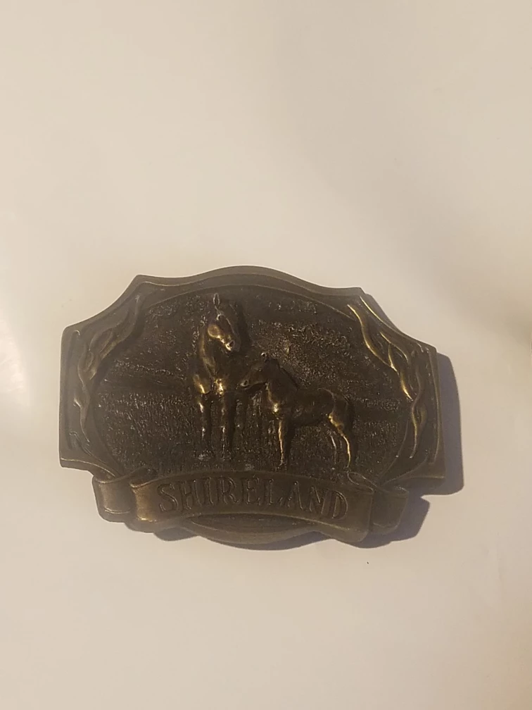 Vintage Shireland Belt Buckles - photo 2