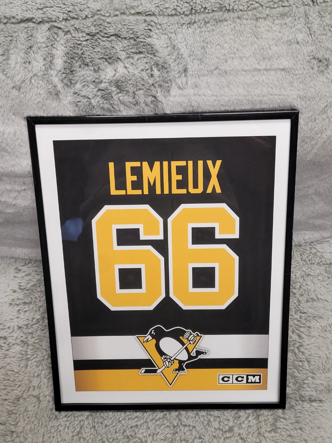 Framed Mario Lemieux Pittsburgh Penguins Jersey 66