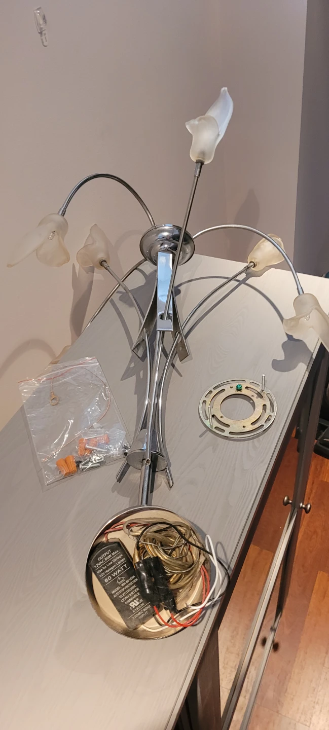 Vintage Chandelier with Frosted Glass Shades - photo 5