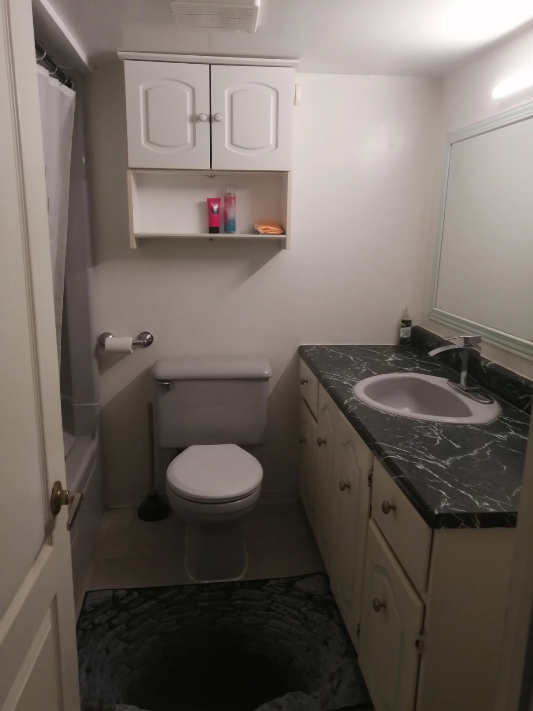 Lg 2 Bedrooms for rent Don Mills and McNicol - photo 3