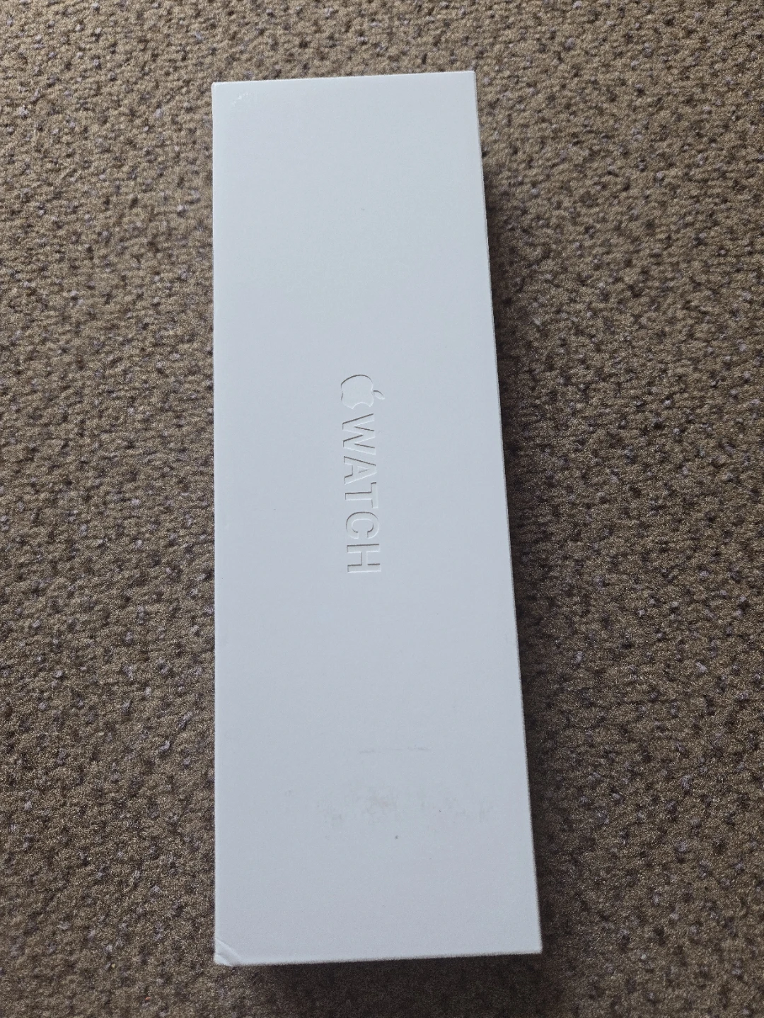 Apple Watch Series 10 (Silver Aluminum Case) - photo 2