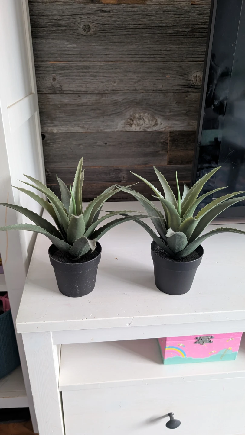 Ikea Artificial Succulent Plants (Set of 2) - photo 2